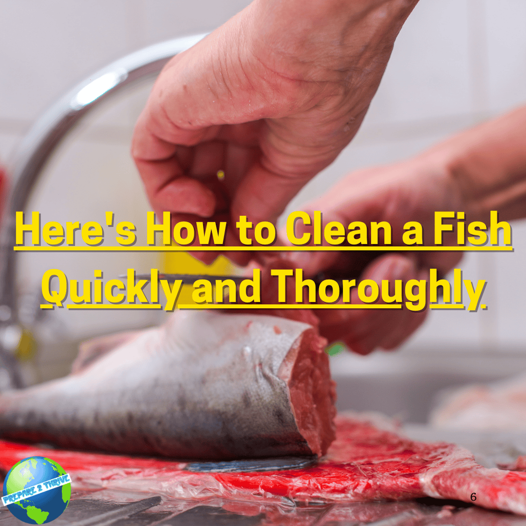Here's How to Clean a Fish Quickly and Thoroughly
